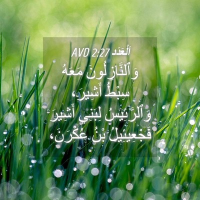 Picture 04 - اَلْعَدَد 2:27 AVD - وَٱلنَّازِلُونَ مَعَهُ - Bible Verse Picture