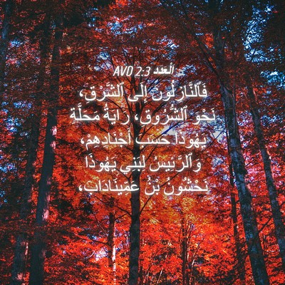 Picture 04 - اَلْعَدَد 2:3 AVD - فَٱلنَّازِلُونَ إِلَى - Bible Verse Picture