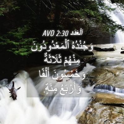 Picture 04 - اَلْعَدَد 2:30 AVD - وَجُنْدُهُ - Bible Verse Picture