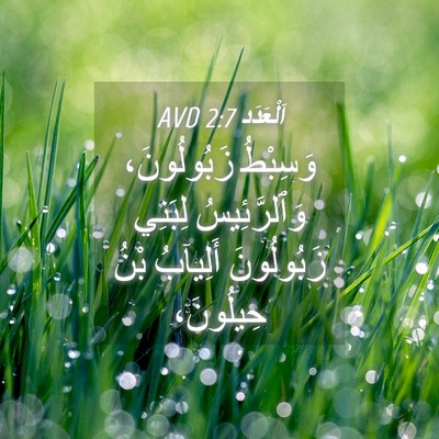 Picture 04 - اَلْعَدَد 2:7 AVD - وَسِبْطُ زَبُولُونَ، - Bible Verse Picture