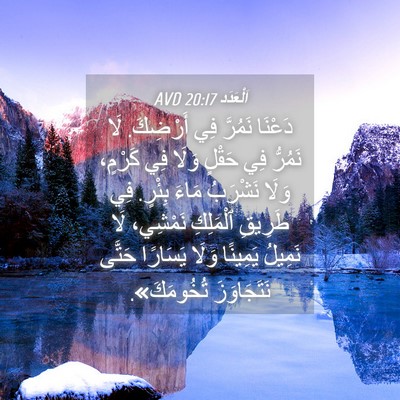 Picture 04 - اَلْعَدَد 20:17 AVD - دَعْنَا نَمُرَّ فِي - Bible Verse Picture