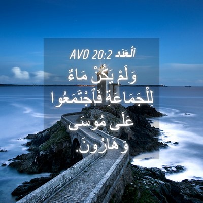 Picture 04 - اَلْعَدَد 20:2 AVD - وَلَمْ يَكُنْ مَاءٌ - Bible Verse Picture