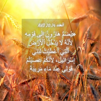Picture 04 - اَلْعَدَد 20:24 AVD - «يُضَمُّ هَارُونُ إِلَى - Bible Verse Picture