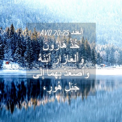Picture 04 - اَلْعَدَد 20:25 AVD - خُذْ هَارُونَ - Bible Verse Picture