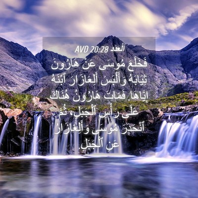 Picture 04 - اَلْعَدَد 20:28 AVD - فَخَلَعَ مُوسَى عَنْ - Bible Verse Picture