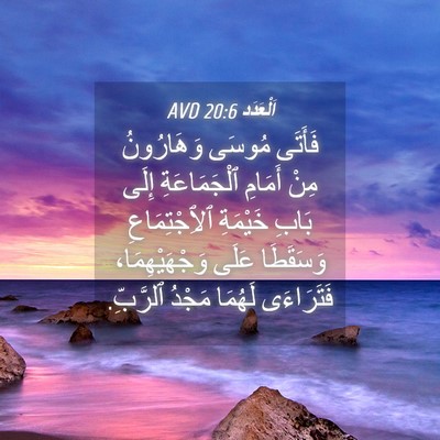 Picture 04 - اَلْعَدَد 20:6 AVD - فَأَتَى مُوسَى وَهَارُونُ - Bible Verse Picture