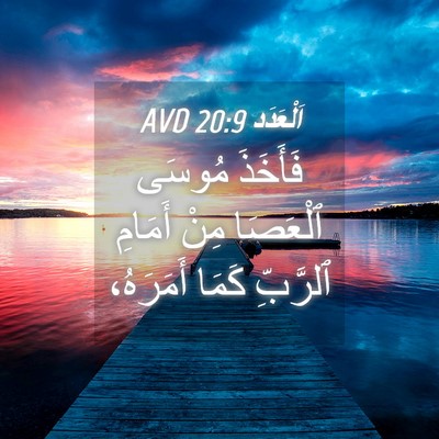 Picture 04 - اَلْعَدَد 20:9 AVD - فَأَخَذَ مُوسَى ٱلْعَصَا - Bible Verse Picture
