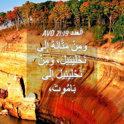 Picture 04 - اَلْعَدَد 21:19 AVD - وَمِنْ مَتَّانَةَ إِلَى - Bible Verse Picture