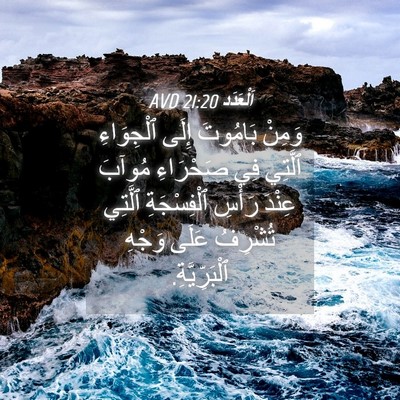 Picture 04 - اَلْعَدَد 21:20 AVD - وَمِنْ بَامُوتَ إِلَى - Bible Verse Picture