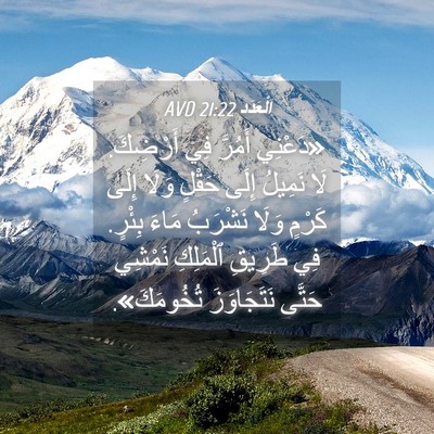 Picture 04 - اَلْعَدَد 21:22 AVD - «دَعْنِي أَمُرَّ فِي - Bible Verse Picture