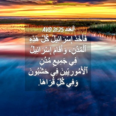 Picture 04 - اَلْعَدَد 21:25 AVD - فَأَخَذَ إِسْرَائِيلُ - Bible Verse Picture