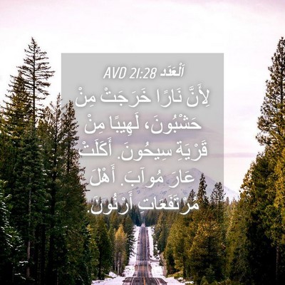 Picture 04 - اَلْعَدَد 21:28 AVD - لِأَنَّ نَارًا خَرَجَتْ - Bible Verse Picture