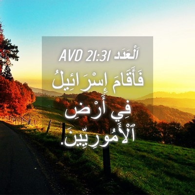 Picture 04 - اَلْعَدَد 21:31 AVD - فَأَقَامَ إِسْرَائِيلُ - Bible Verse Picture
