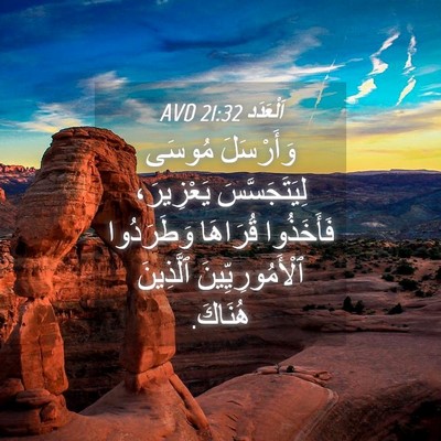Picture 04 - اَلْعَدَد 21:32 AVD - وَأَرْسَلَ مُوسَى - Bible Verse Picture