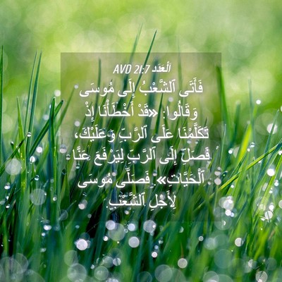 Picture 04 - اَلْعَدَد 21:7 AVD - فَأَتَى ٱلشَّعْبُ إِلَى - Bible Verse Picture