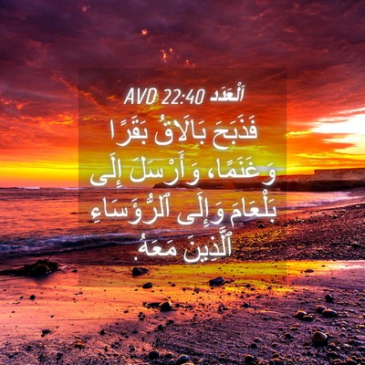 Picture 04 - اَلْعَدَد 22:40 AVD - فَذَبَحَ بَالَاقُ بَقَرًا - Bible Verse Picture