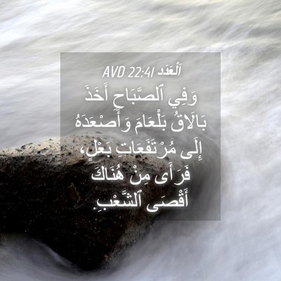 Picture 04 - اَلْعَدَد 22:41 AVD - وَفِي ٱلصَّبَاحِ أَخَذَ - Bible Verse Picture