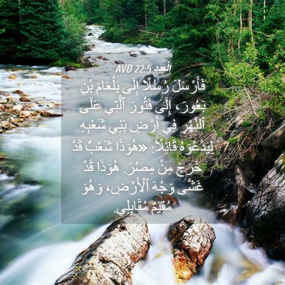Picture 04 - اَلْعَدَد 22:5 AVD - فَأَرْسَلَ رُسُلًا إِلَى - Bible Verse Picture