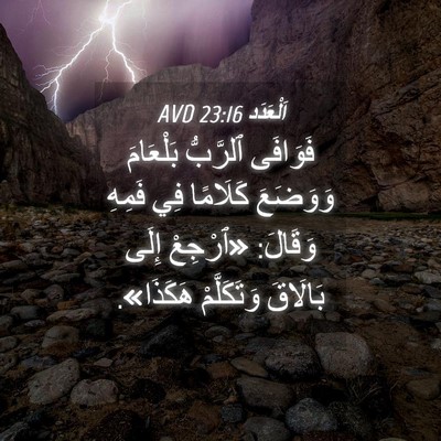 Picture 04 - اَلْعَدَد 23:16 AVD - فَوَافَى ٱلرَّبُّ - Bible Verse Picture