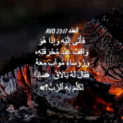 Picture 04 - اَلْعَدَد 23:17 AVD - فَأَتَى إِلَيْهِ وَإِذَا - Bible Verse Picture