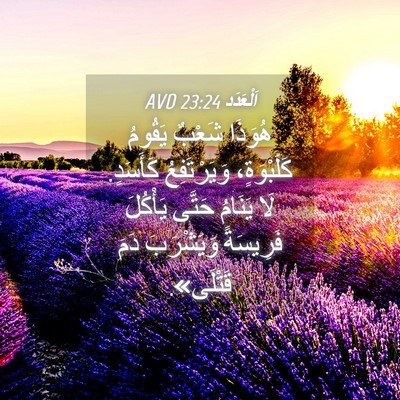 Picture 04 - اَلْعَدَد 23:24 AVD - هُوَذَا شَعْبٌ يَقُومُ - Bible Verse Picture