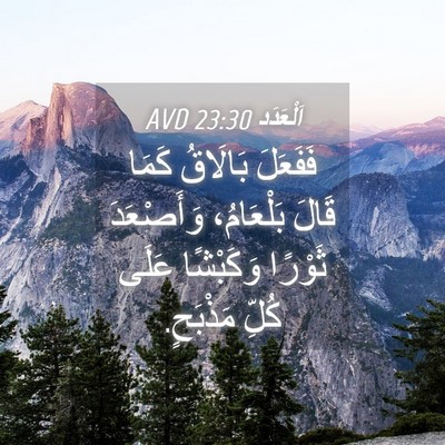 Picture 04 - اَلْعَدَد 23:30 AVD - فَفَعَلَ بَالَاقُ كَمَا - Bible Verse Picture