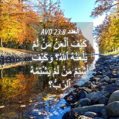 Picture 04 - اَلْعَدَد 23:8 AVD - كَيْفَ أَلْعَنُ مَنْ لَمْ - Bible Verse Picture