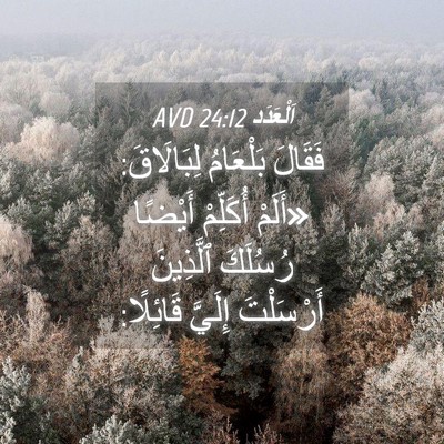 Picture 04 - اَلْعَدَد 24:12 AVD - فَقَالَ بَلْعَامُ - Bible Verse Picture