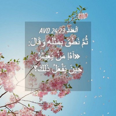 Picture 04 - اَلْعَدَد 24:23 AVD - ثُمَّ نَطَقَ بِمَثَلِهِ - Bible Verse Picture