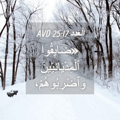 Picture 04 - اَلْعَدَد 25:17 AVD - «ضَايِقُوا - Bible Verse Picture