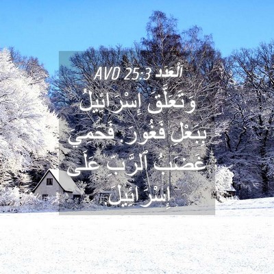 Picture 04 - اَلْعَدَد 25:3 AVD - وَتَعَلَّقَ إِسْرَائِيلُ - Bible Verse Picture