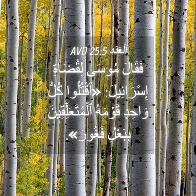 Picture 04 - اَلْعَدَد 25:5 AVD - فَقَالَ مُوسَى لِقُضَاةِ - Bible Verse Picture