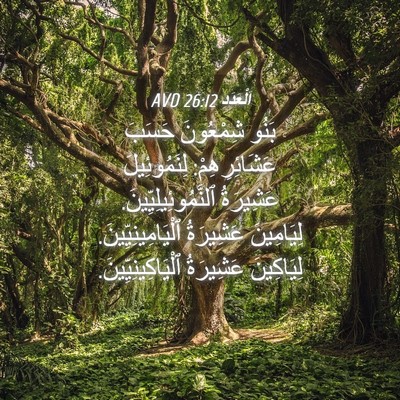 Picture 04 - اَلْعَدَد 26:12 AVD - بَنُو شِمْعُونَ حَسَبَ - Bible Verse Picture