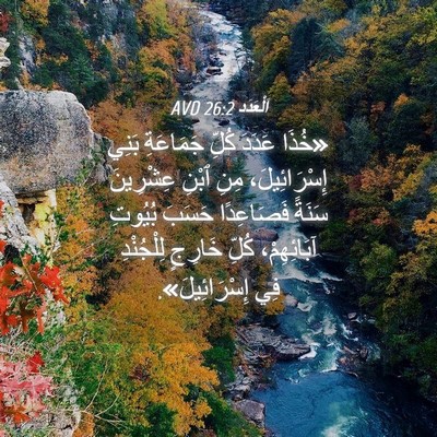 Picture 04 - اَلْعَدَد 26:2 AVD - «خُذَا عَدَدَ كُلِّ - Bible Verse Picture