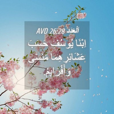 Picture 04 - اَلْعَدَد 26:28 AVD - اِبْنَا يُوسُفَ حَسَبَ - Bible Verse Picture