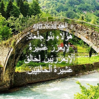 Picture 04 - اَلْعَدَد 26:30 AVD - هَؤُلَاءِ بَنُو جِلْعَادَ: - Bible Verse Picture
