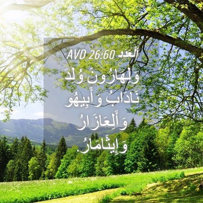 Picture 04 - اَلْعَدَد 26:60 AVD - وَلِهَارُونَ وُلِدَ - Bible Verse Picture