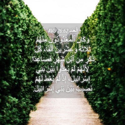 Picture 04 - اَلْعَدَد 26:62 AVD - وَكَانَ ٱلْمَعْدُودُونَ - Bible Verse Picture