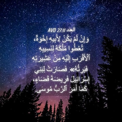 Picture 04 - اَلْعَدَد 27:11 AVD - وَإِنْ لَمْ يَكُنْ - Bible Verse Picture