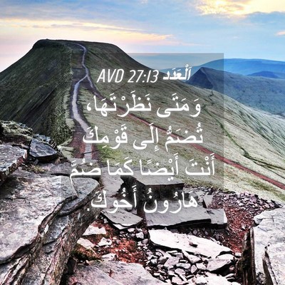 Picture 04 - اَلْعَدَد 27:13 AVD - وَمَتَى نَظَرْتَهَا، - Bible Verse Picture