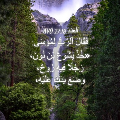 Picture 04 - اَلْعَدَد 27:18 AVD - فَقَالَ ٱلرَّبُّ لِمُوسَى: - Bible Verse Picture