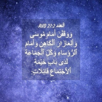 Picture 04 - اَلْعَدَد 27:2 AVD - وَوَقَفْنَ أَمَامَ مُوسَى - Bible Verse Picture