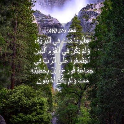 Picture 04 - اَلْعَدَد 27:3 AVD - «أَبُونَا مَاتَ فِي - Bible Verse Picture