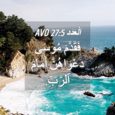 Picture 04 - اَلْعَدَد 27:5 AVD - فَقَدَّمَ مُوسَى - Bible Verse Picture