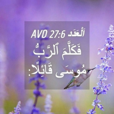 Picture 04 - اَلْعَدَد 27:6 AVD - فَكَلَّمَ ٱلرَّبُّ مُوسَى - Bible Verse Picture