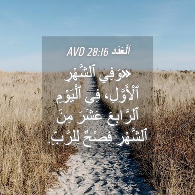 Picture 04 - اَلْعَدَد 28:16 AVD - «وَفِي ٱلشَّهْرِ - Bible Verse Picture