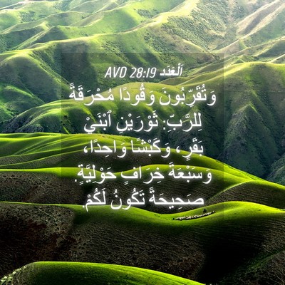 Picture 04 - اَلْعَدَد 28:19 AVD - وَتُقَرِّبُونَ وَقُودًا - Bible Verse Picture