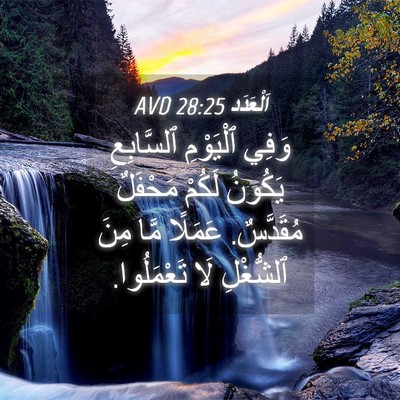 Picture 04 - اَلْعَدَد 28:25 AVD - وَفِي ٱلْيَوْمِ - Bible Verse Picture