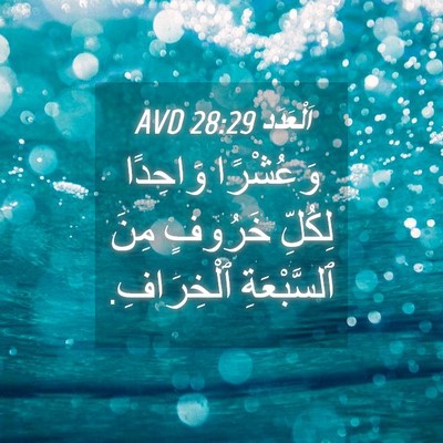 Picture 04 - اَلْعَدَد 28:29 AVD - وَعُشْرًا وَاحِدًا - Bible Verse Picture