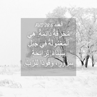 Picture 04 - اَلْعَدَد 28:6 AVD - مُحْرَقَةٌ دَائِمَةٌ. هِيَ - Bible Verse Picture